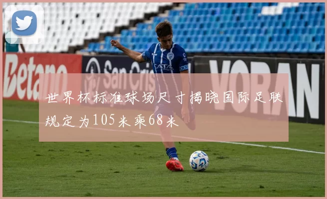 世界杯标准球场尺寸揭晓国际足联规定为105米乘68米