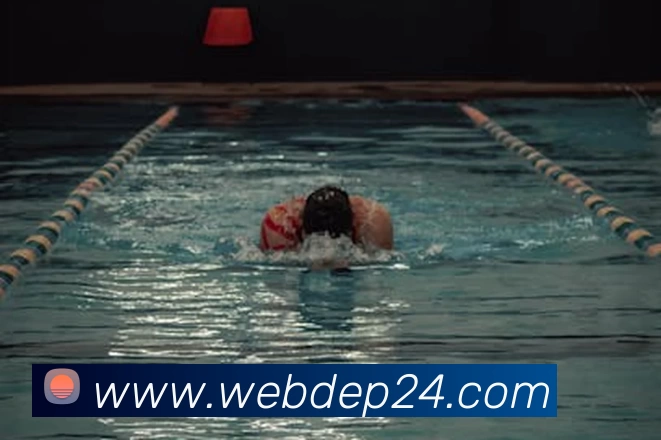 星空体育网页版入口平台生态图